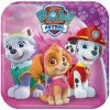 Party Animal Direct Paw Patrol Girl 17cm Square Plates