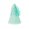 Five Star FS PARTY HAT WITH TASSEL TOPPER MINT GREEN 10PK