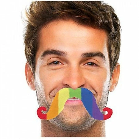 Party Animal Direct Costume Accessories Rainbow Moustache 3 Party Animal Direct Costume Accessories Rainbow Moustache