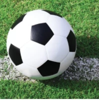 Party Animal Direct Soccer Napkins