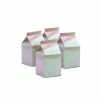 Party Animal Direct Five Star P10 Paper Milk Box Iridescent