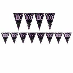 Party Animal Direct PINK CELEBRATION 100TH BIRTHDAY FLAG BANNER