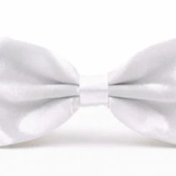 Party Animal Direct White Bow Tie - Costume Costumes
