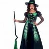 Party Animal Direct Costume Spider Witch Girls 3-4 Years 1 Party Animal Direct Costume Spider Witch Girls 3-4 Years