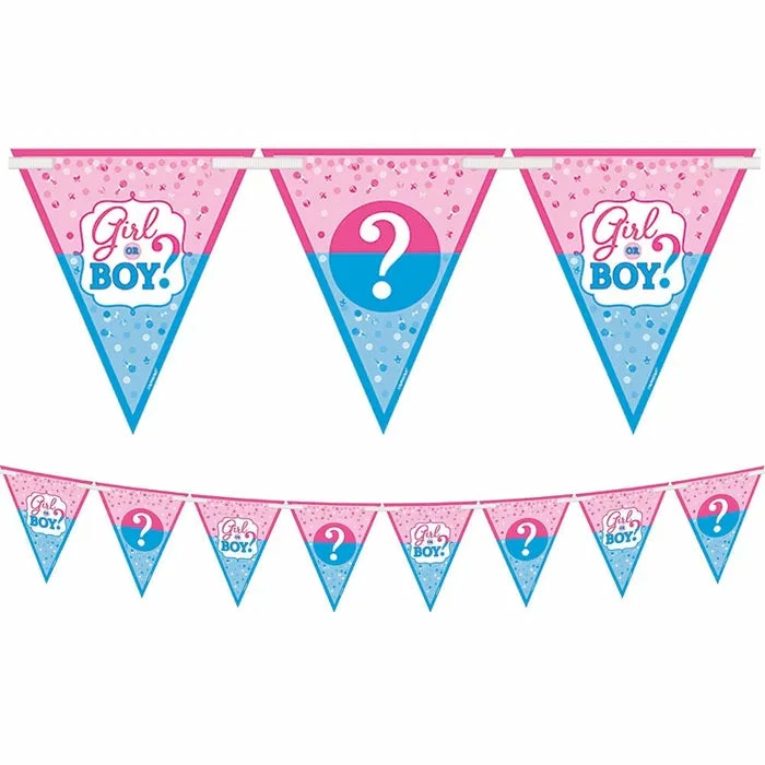 Party Animal Direct GIRL OR BOY PENNANT BANNER (4.57M) Baby Shower 3 Party Animal Direct GIRL OR BOY PENNANT BANNER (4.57M) Baby Shower