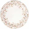 Party Animal Direct Eco Range SPARKLING FIZZ ROSE GOLD LARGE PAPER PLATES (PACK OF 8)