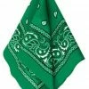 Party Animal Direct Green Bandana