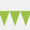 Party Animal Direct GREEN PENNANT BANNER