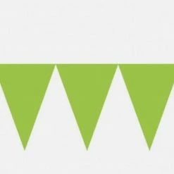 Party Animal Direct GREEN PENNANT BANNER