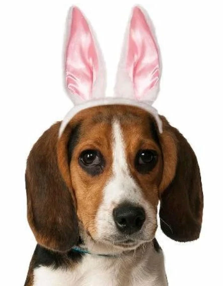 Party Animal Direct Dog Bunny Ears 3 Party Animal Direct Dog Bunny Ears