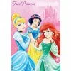 Party Animal Direct Disney Princess Loot Bags