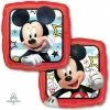 Party Animal Direct Mickey Mouse Amd The Roadster Racers Standard Foil