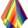 Party Animal Direct Costumes Rainbow Bandana