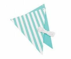 Party Animal Direct Reversible Bunting Turquoise