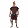Party Animal Direct Roman Soldier (adult Size) Costume Costumes