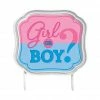 Party Animal Direct Baby Shower Girl Or Boy? Cake Topper Gender Reveal