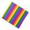 Party Animal Direct Rainbow Bandana