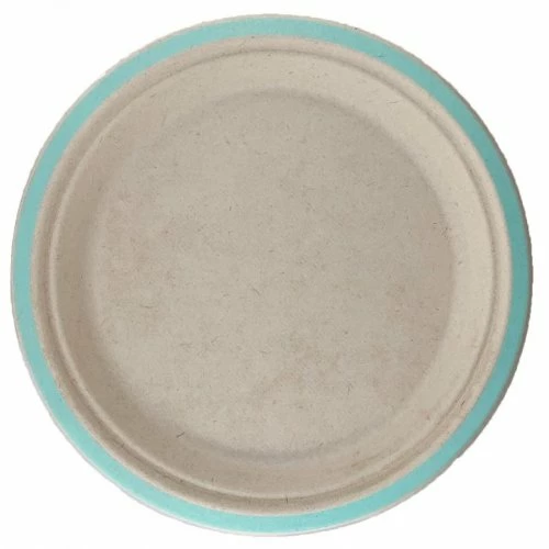Alpen Sugarcane Lunch Plates 180mm Mint Green 10 Pack 3 Alpen Sugarcane Lunch Plates 180mm Mint Green 10 Pack