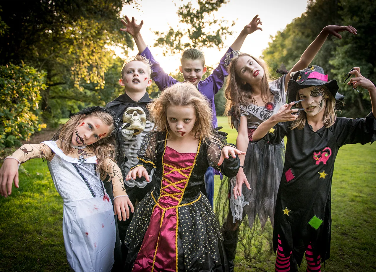 Halloween Party Animal Store -Halloween Party Animal Store last minute halloween costumes for kids cat